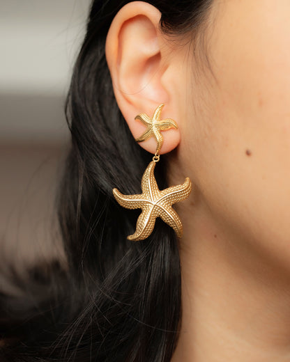 Aretes de estrellas de mar